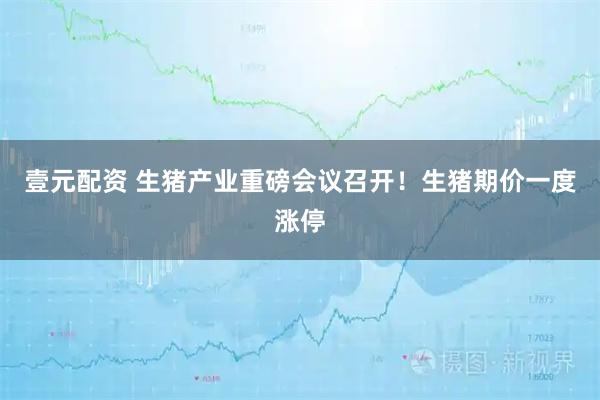 壹元配资 生猪产业重磅会议召开！生猪期价一度涨停